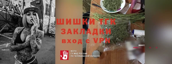 ECSTASY Богданович