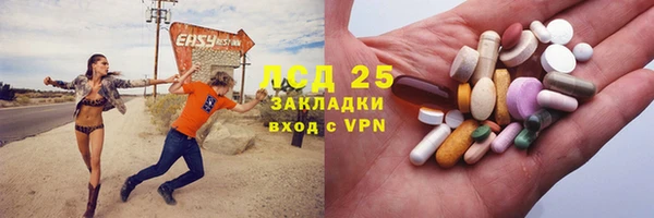 ECSTASY Богданович