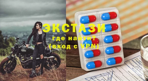 ECSTASY Богданович