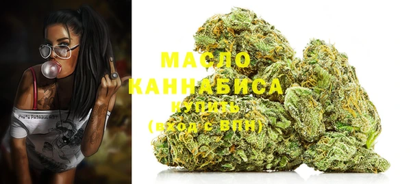 ECSTASY Богданович