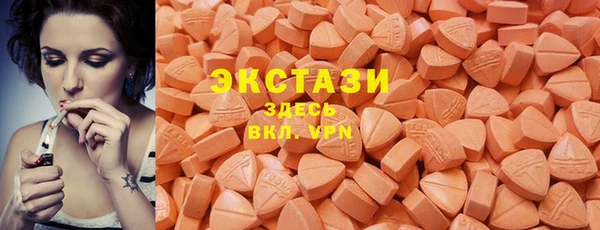 ECSTASY Богданович