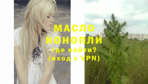 ECSTASY Богданович