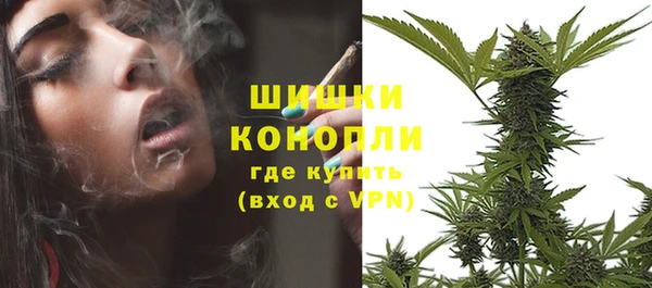 ECSTASY Богданович