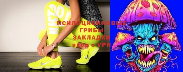бошки Богородицк
